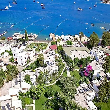 Mavi Turkbuku 3* Αλικαρνασσός